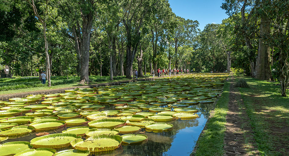 Giardino Botanico di Pampleousses